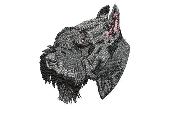 Giant Schnauzer: A Designer’s Holiday Review